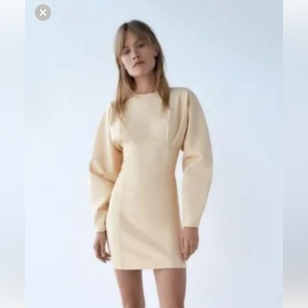ZARA neoprene dress
